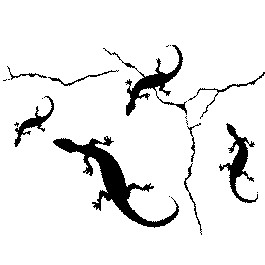 4 lezards