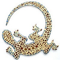 salamandre couleur